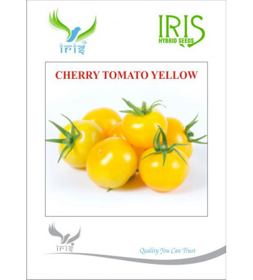Iris Imported Cherry Tomato Yellow 10 grams